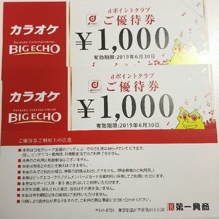 ビッグエコー 優待券 3000円分(その他)