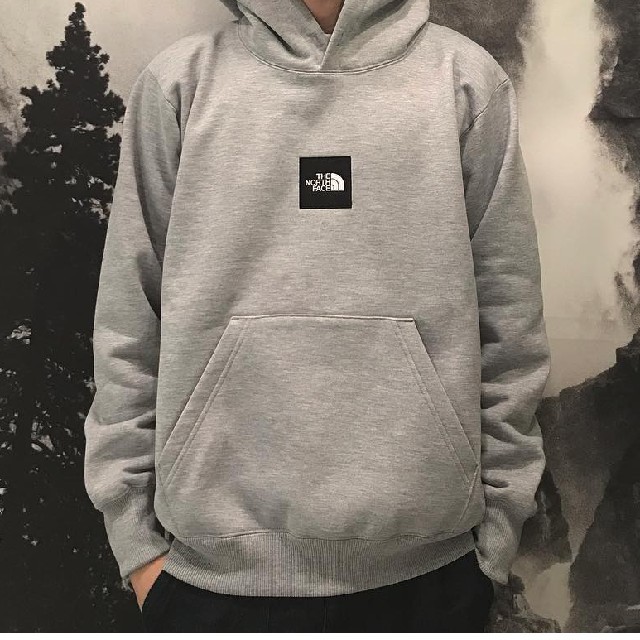 THE NORTH FACE HEATHER LOGO BIG HOODIE