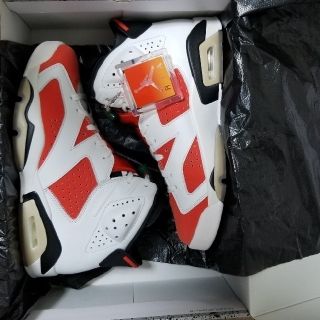 ナイキ(NIKE)のNIKE AIR JORDAN 6 GATORADE　26.5(スニーカー)