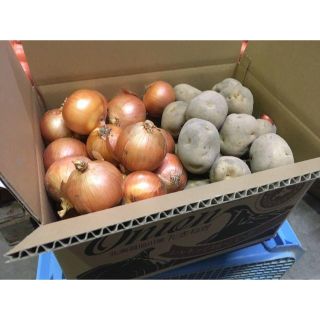 まな様専用 北海道産　ジャガイモとタマネギ　10kg　農家直送(野菜)