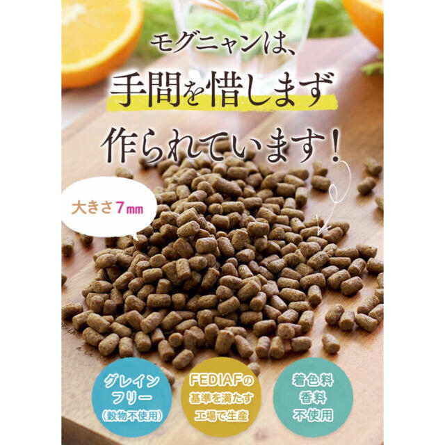 大好評！モグニャン キャットフードお試し 100ｇ～ その他のペット用品(ペットフード)の商品写真