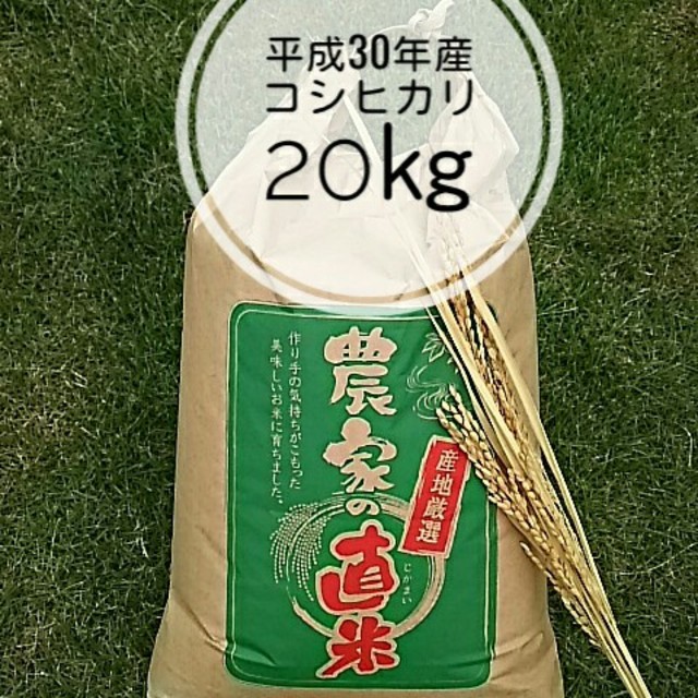 新米コシヒカリ100%玄米20㎏ 小分け可