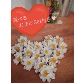 花かんざし　２０輪　　ヘッドのみ　おまけ付き！(ドライフラワー)