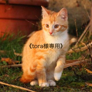 トゥモローランド(TOMORROWLAND)の《tora様専用》tommrrowland MACPHEE テーパードパンツ(カジュアルパンツ)