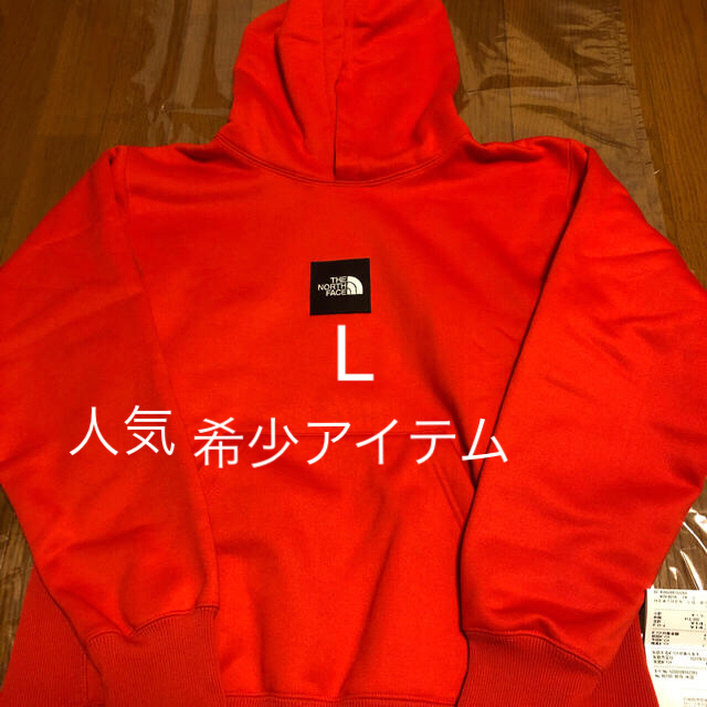 当季大流行 L NORTH ノースフェイスheather logo FACE big 格安正規店