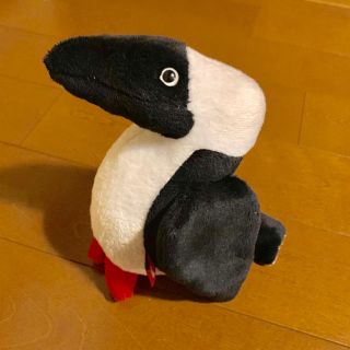 チャムス(CHUMS)のCHUMS マスコット(ぬいぐるみ)