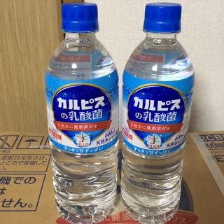 カルピスの乳酸菌 水PLUS 600ml 24本(ソフトドリンク)