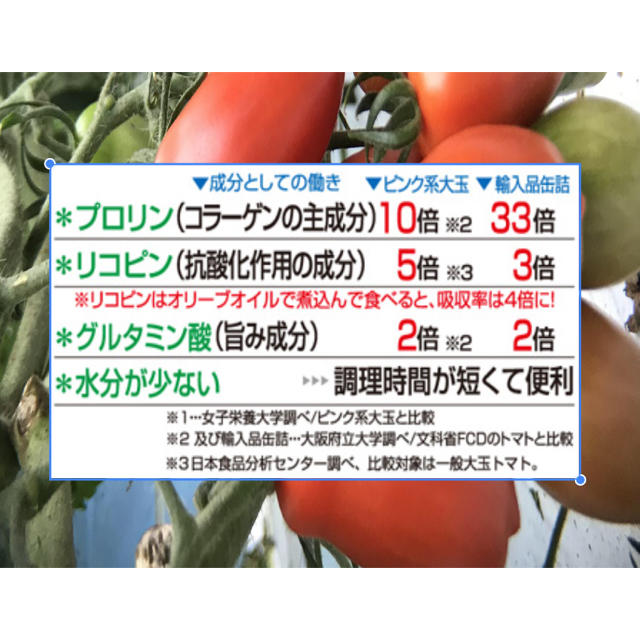 Pomodoro(ポモドーロ)  1kg 食品/飲料/酒の食品(野菜)の商品写真