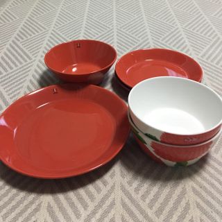 イッタラ(iittala)の【廃盤品】イッタラ  ティーマ  テラコッタ&プリマヴェーラ  (食器)