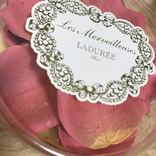 Les Merveilleuses LADUREE(レメルヴェイユーズラデュレ)のラデュレ チーク&ポット セット コスメ/美容のベースメイク/化粧品(チーク)の商品写真