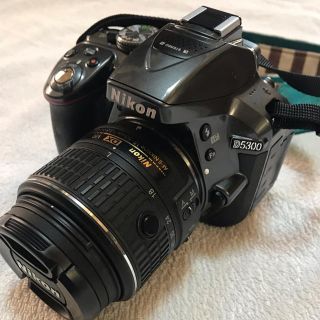 ニコン(Nikon)のNIKON D5300(デジタル一眼)