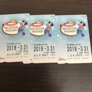 ディズニー(Disney)のディズニーリゾートライン 2day pass(遊園地/テーマパーク)