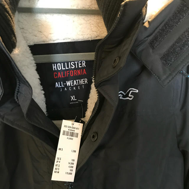 Hollister(ホリスター)のホリスター マウンテン ジャケット 未使用 メンズのジャケット/アウター(マウンテンパーカー)の商品写真