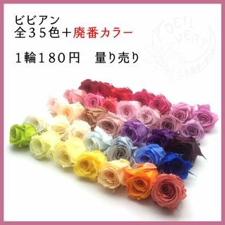 【1輪180円】ビビアン　全35色+廃番カラー　量り売り