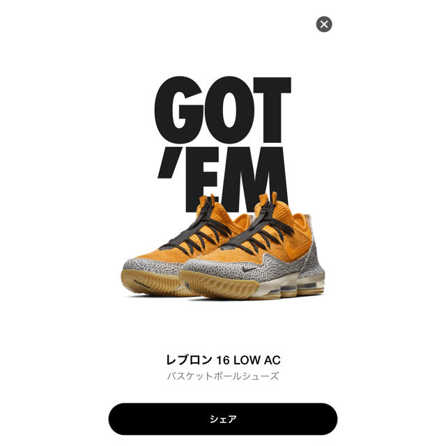 NIKE(ナイキ)のレブロン 16 low Safari atmos メンズの靴/シューズ(スニーカー)の商品写真