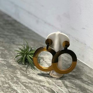 トゥデイフル(TODAYFUL)の【美品】完売 TODAYFUL バッファローサークルピアス 春夏アクセサリー(ピアス)