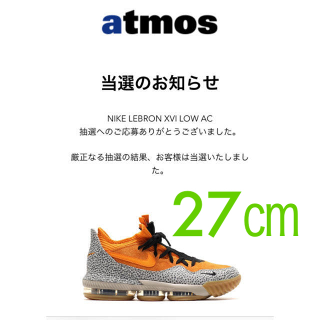 ebron 16 low atmos Safari 27㎝メンズ