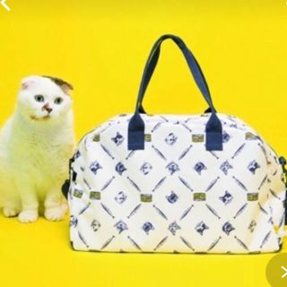 タカラジマシャ(宝島社)のcat issue ボストンバック(ボストンバッグ)