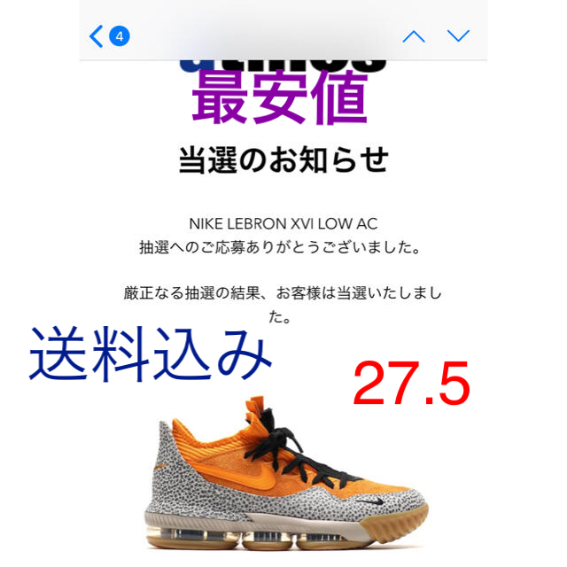 レブロン１６NIKE 27.5靴/シューズ