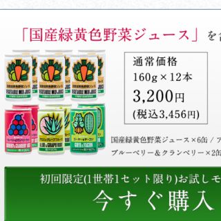 【マイメロ様専用ページ】ミリオン 国産緑黄色野菜ジュース お試しセット(野菜)