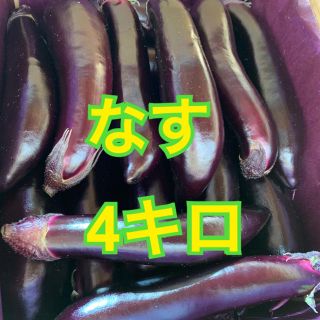 なす 4キロ(野菜)