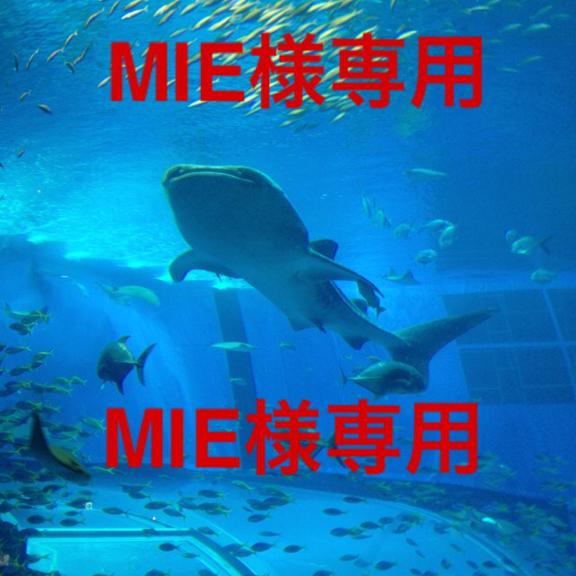 MIE