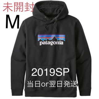 パタゴニア Patagonia アウトドア パーカー メンズ の通販 38点 パタゴニアのメンズを買うならラクマ