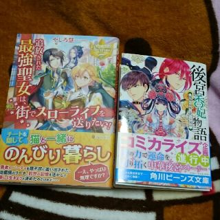 ベルガモット様専用 追放された最強聖女は街で他(文学/小説)