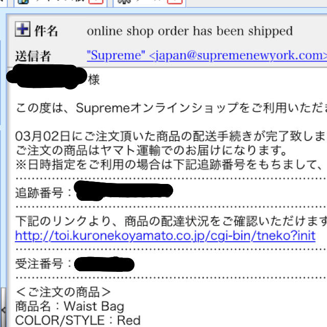 Supreme Waist Bag 19 ss