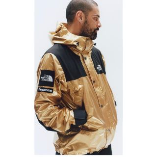 シュプリーム(Supreme)のSupreme North Face  Metallic Mountain(マウンテンパーカー)