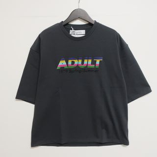 サンシー(SUNSEA)のdairiku tシャツ(Tシャツ/カットソー(七分/長袖))