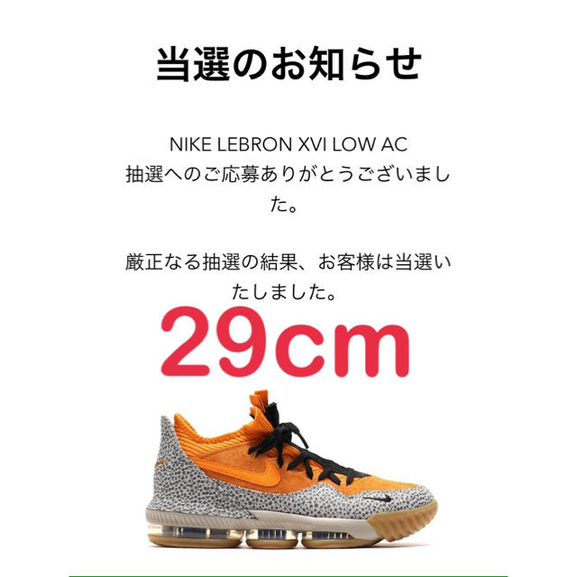 メンズ【29cm】ATMOS × NIKE  LEBRON 16 LOW SAFARI
