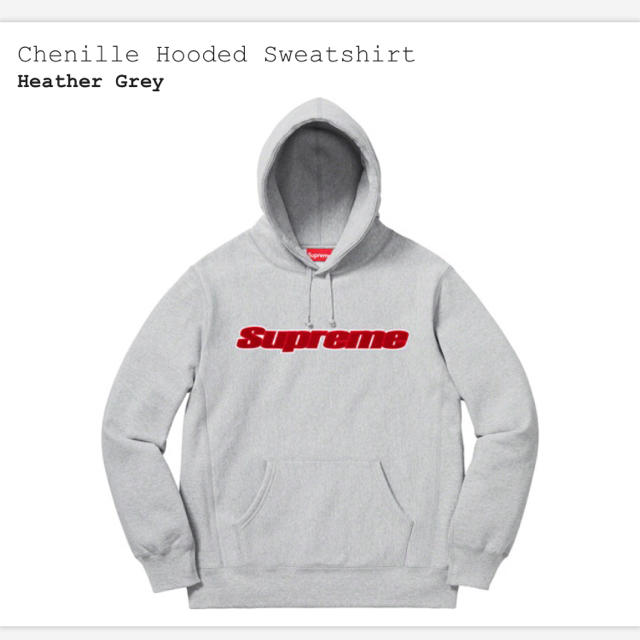 Supreme(シュプリーム)の19ss グレー Lサイズ Chenille Hooded Sweatshirt メンズのトップス(パーカー)の商品写真