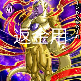 アイオペ(IOPE)の返金(スリッポン)