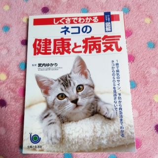 シュフトセイカツシャ(主婦と生活社)のしぐさでわかる、ネコの健康と病気(健康/医学)