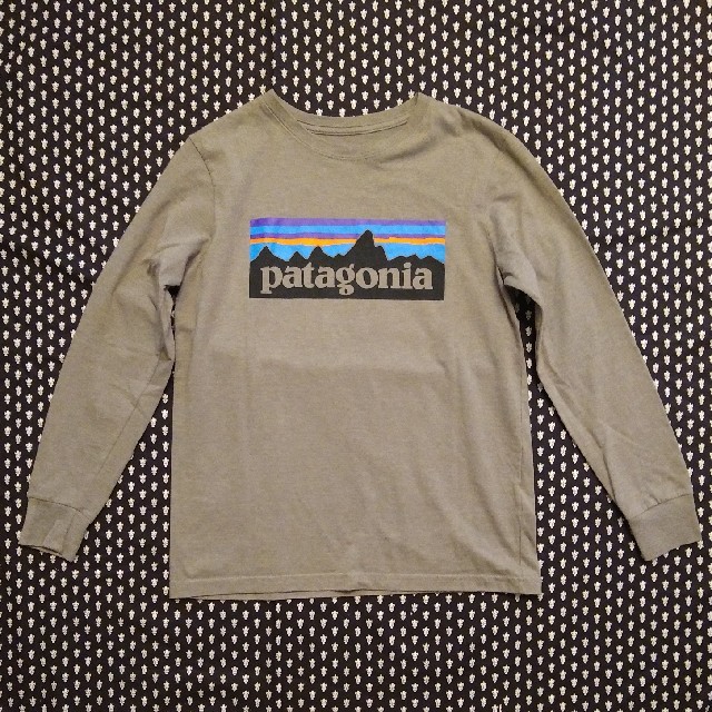 patagonia(パタゴニア)のパタゴニア □ Tシャツ □ M140    キッズ/ベビー/マタニティのキッズ服男の子用(90cm~)(Tシャツ/カットソー)の商品写真