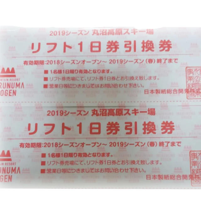 スキー® 丸沼高原 リフト券 2枚 リフト