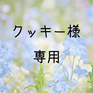 クッキー様専用  お米　H30　愛媛県産キヌヒカリ　玄米　30㎏(米/穀物)