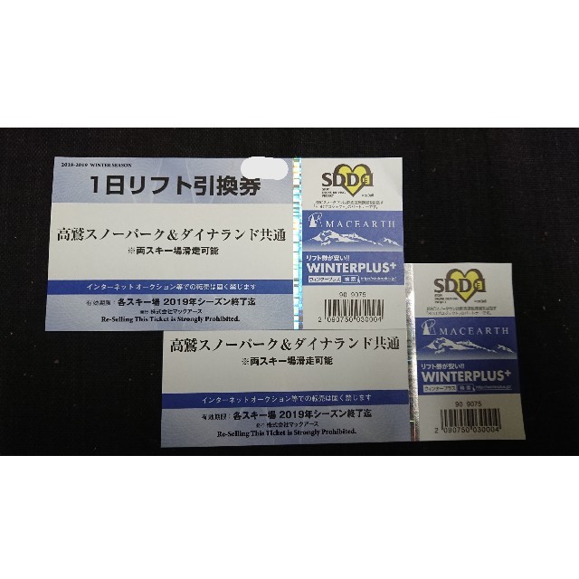 高鷲スノーパーク&ダイナランドの１日リフト引換券２枚＋マックアース共通割引券４枚