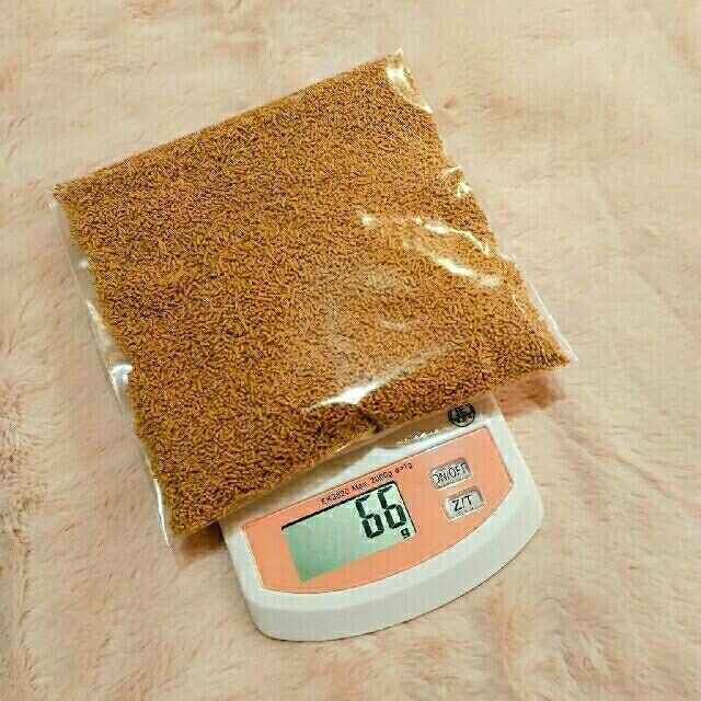 プロキュア　60g