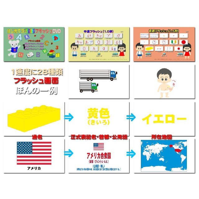 右脳 はじめての右脳フラッシュDVD