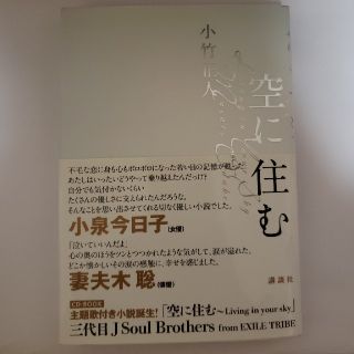 サンダイメジェイソウルブラザーズ(三代目 J Soul Brothers)の空に住む(文学/小説)