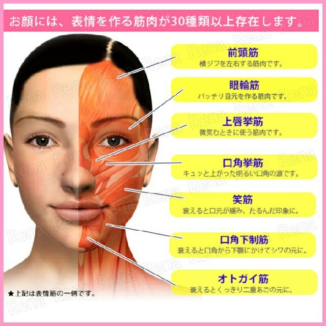 フェイストレッチ   小顔効果    表情筋 トレーニング　ほうれい線対策