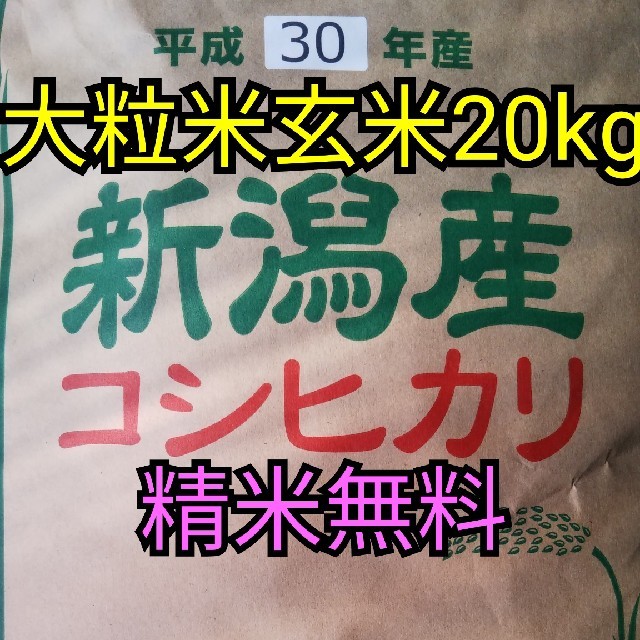 20kg産地【即購入OK】30年産新潟コシヒカリ玄米20キロ大粒米　精米無料　おまけ付!