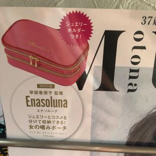 エナソルーナ(Enasoluna)のオトナミューズ 4月号 付録(ポーチ)