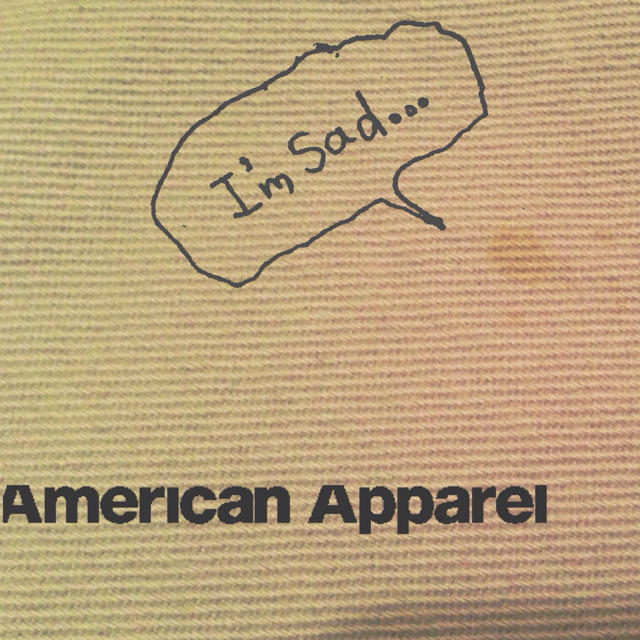 American Apparel(アメリカンアパレル)のKahoさま☆専用 レディースのスカート(ミニスカート)の商品写真