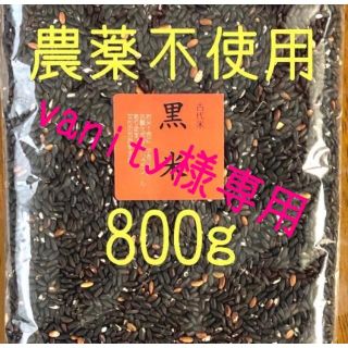 vanity様専用  黒米•古代米3種ブレンド　愛媛県産　各800ｇ(米/穀物)