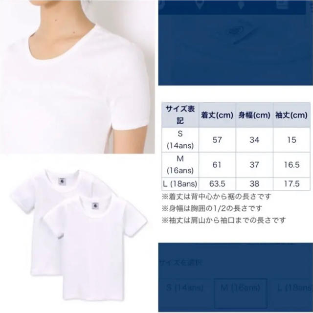 PETIT BATEAU(プチバトー)のラスト 16ans/ポワンココット半袖Ｔシャツ２枚組 キッズ/ベビー/マタニティのキッズ服女の子用(90cm~)(Tシャツ/カットソー)の商品写真