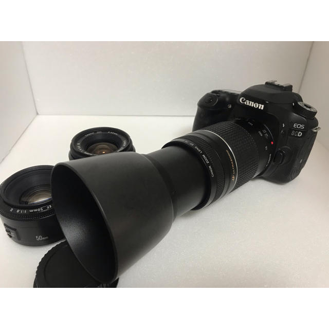 【モニターも】 極上品☆キヤノン☆Canon EOS 80D☆標準&望遠&単焦点レンズセット るグッドコ