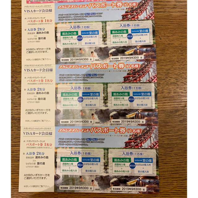 即日発送‼️ナガシマスパーランド パスポート 3枚セット